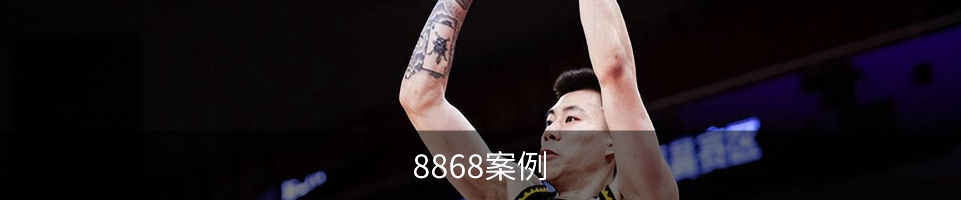 8868案例